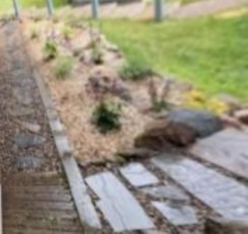 Stone garden path beside a mulched flower bed with small shrubs and a green lawn