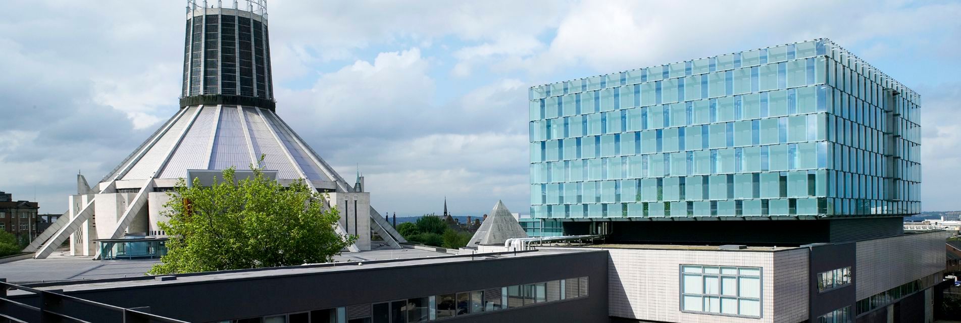 University of Liverpool ERP