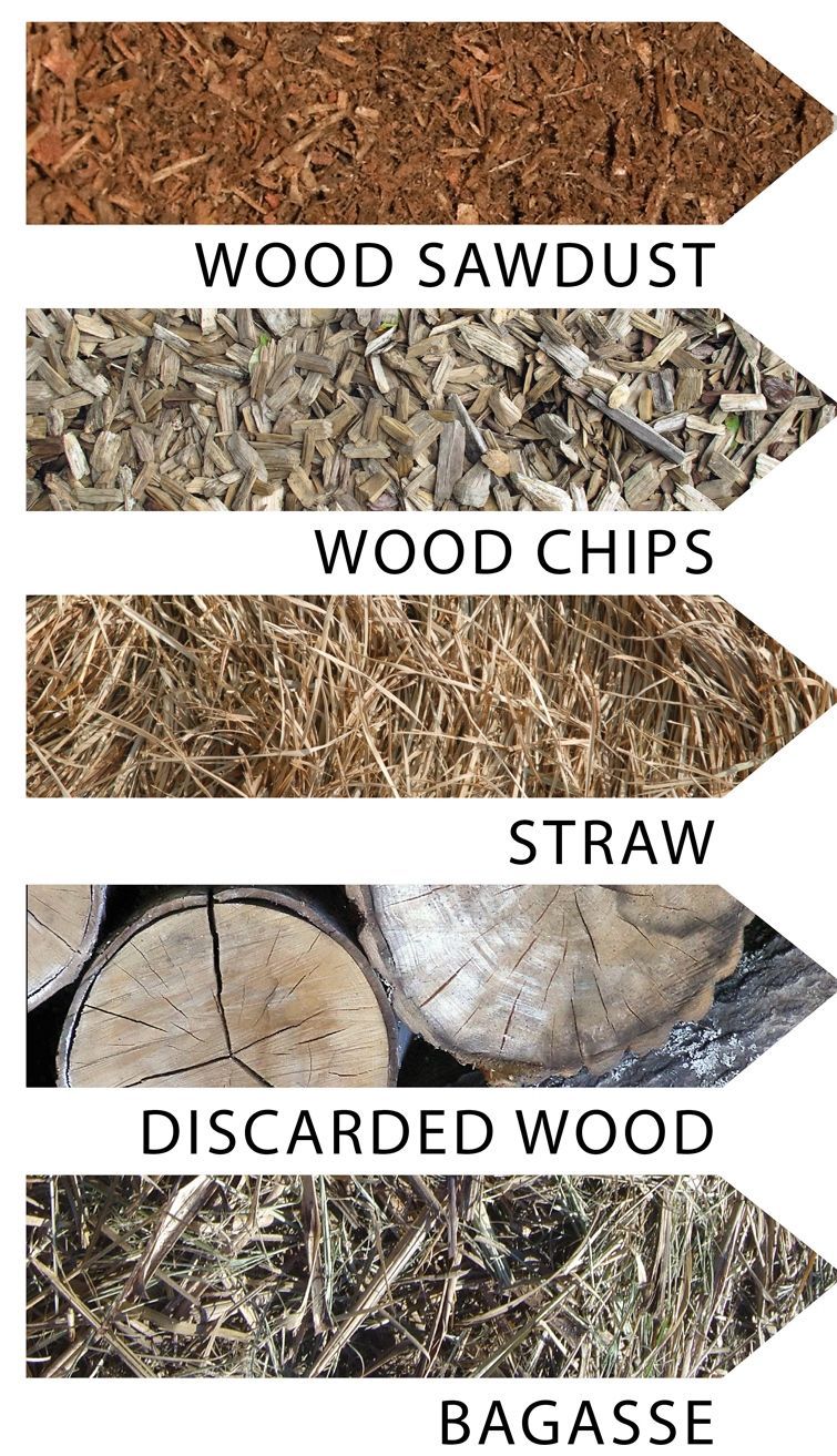 Samples of wood and plant-based materials: sawdust, chips, straw, discarded wood, and bagasse.