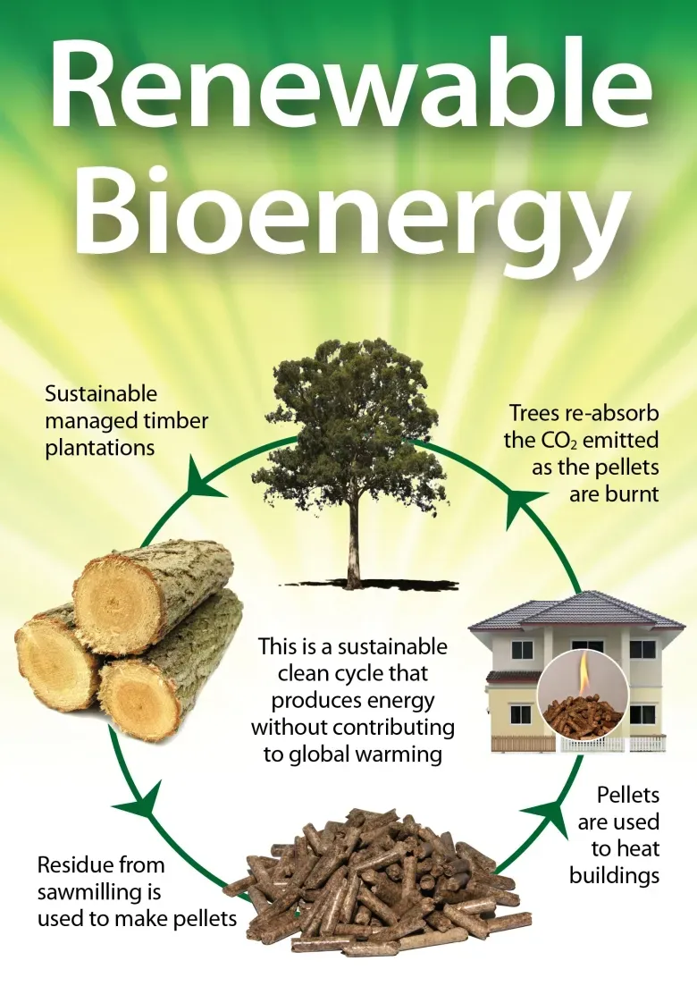 Renewable bioenergy cycle | Lismore, NSW | McKeeko General Engineering
