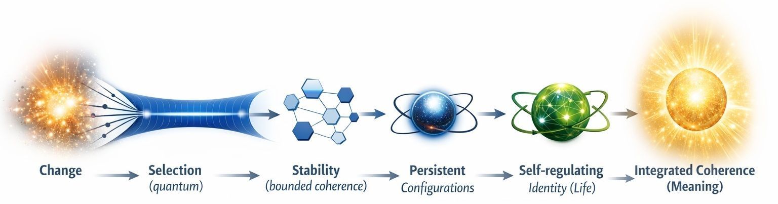 Diagram of the Bellori Framework showing identity as preserved coherence under change across stability, life and meaning