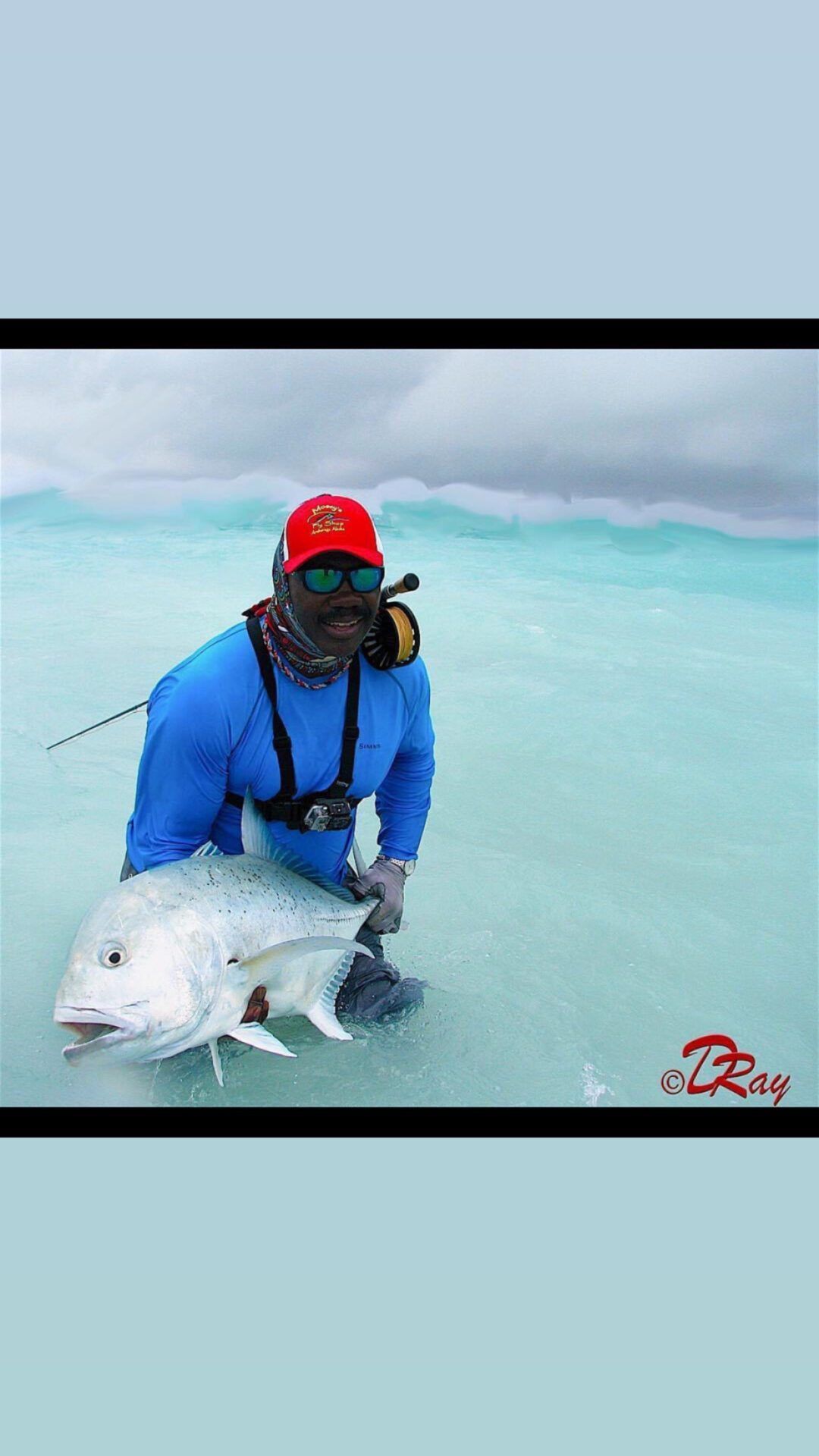 A person in a blue shirt and red cap stands in shallow, light-blue water holding a large fish.