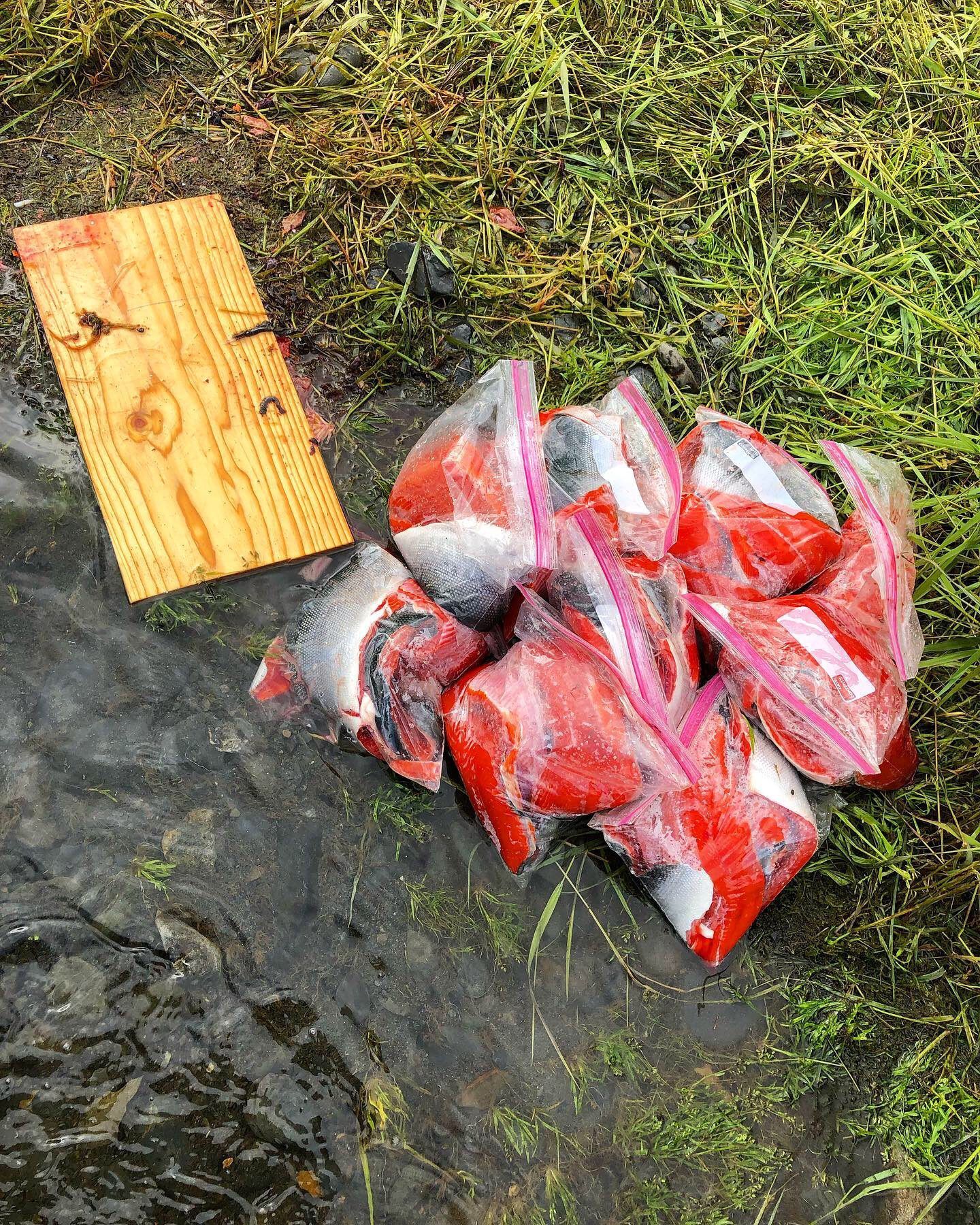A collection of plastic bags filled with raw, red salmon fillets sitting on dark, wet ground next to a wooden board.