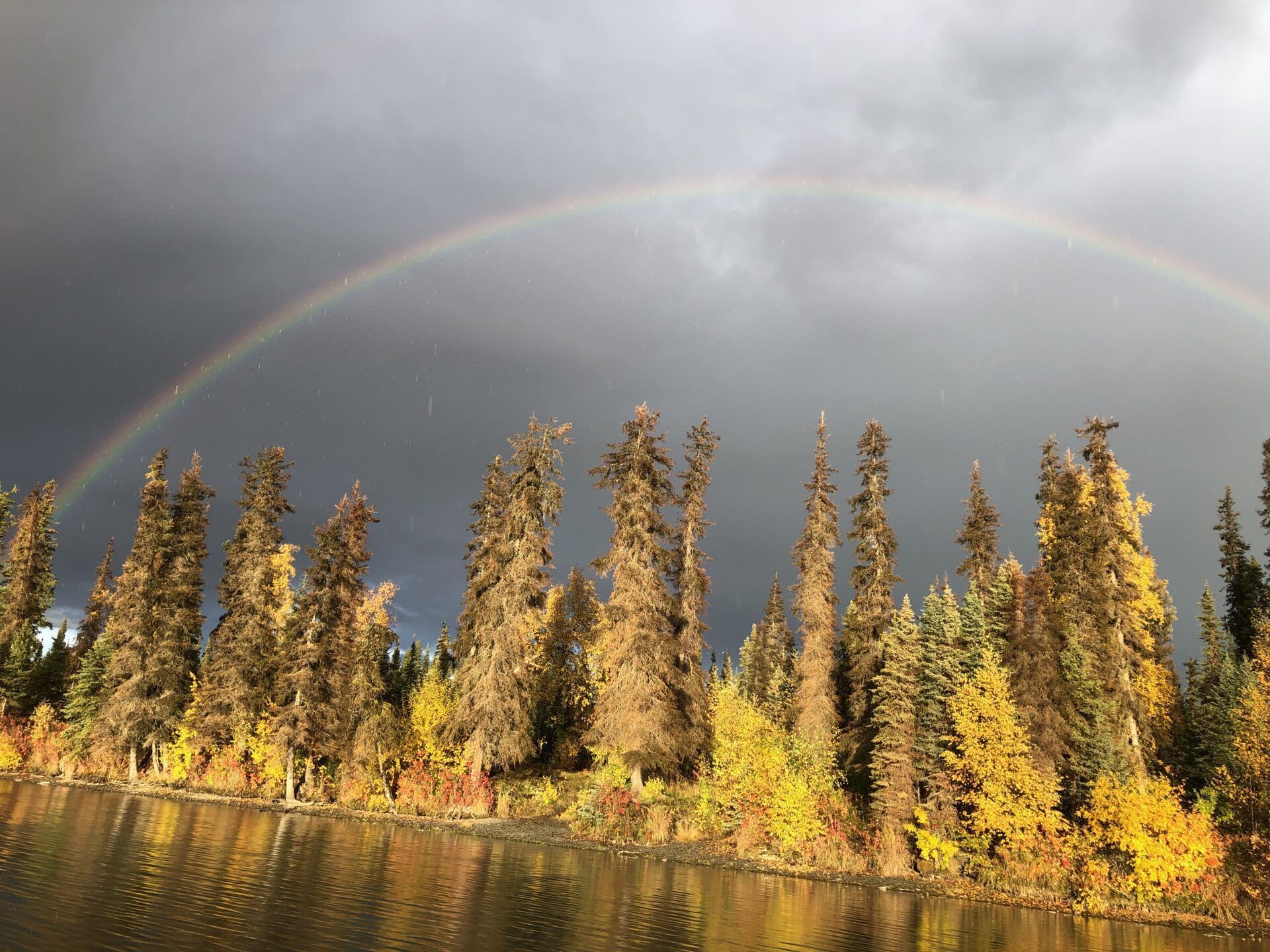 A faint rainbow arches over a line of autumn-colored spruce trees along a river under a dark, stormy sky.