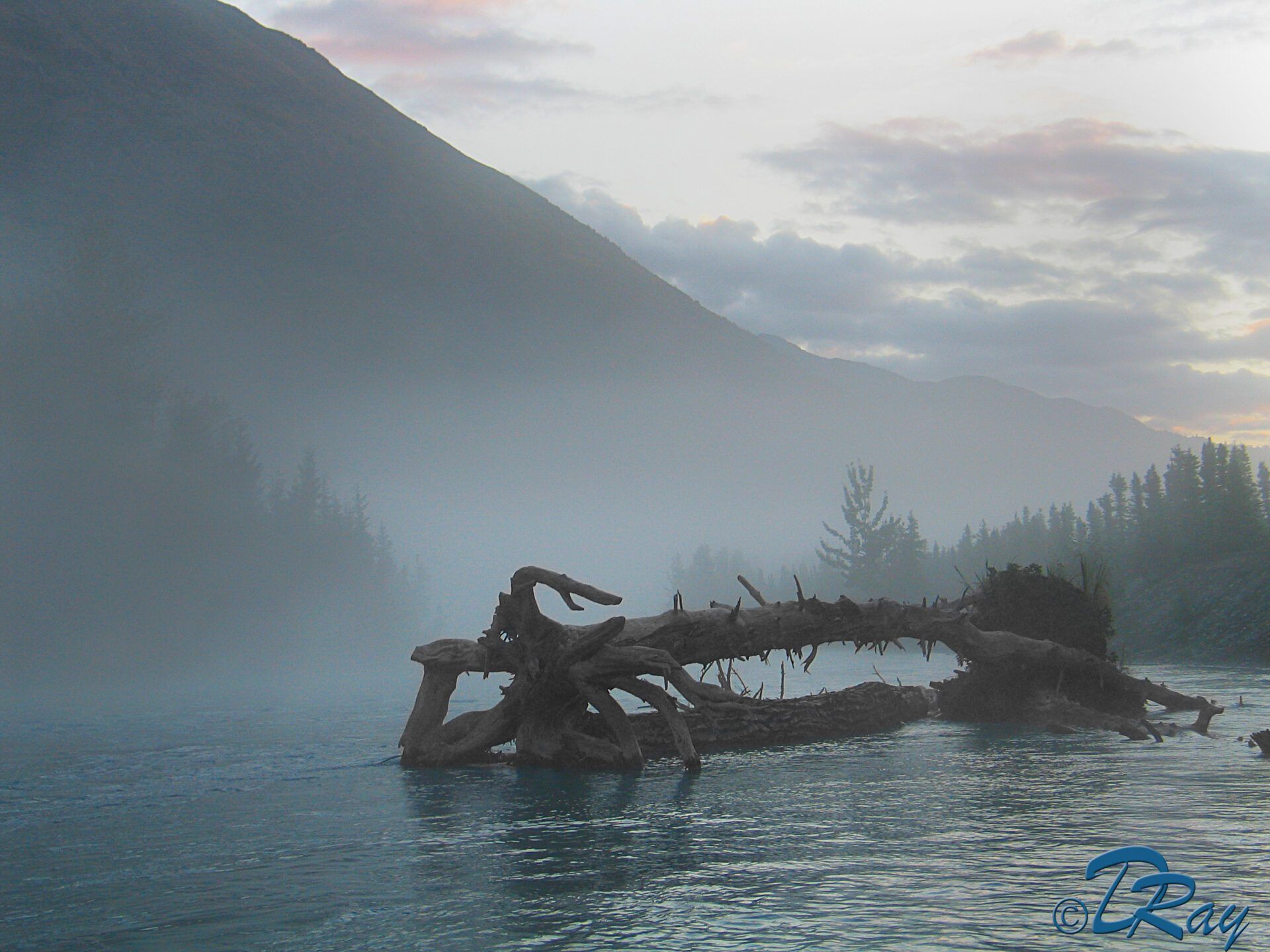 A large, weathered driftwood log sits partially submerged in a calm, misty river beneath a mountainous, overcast sky.