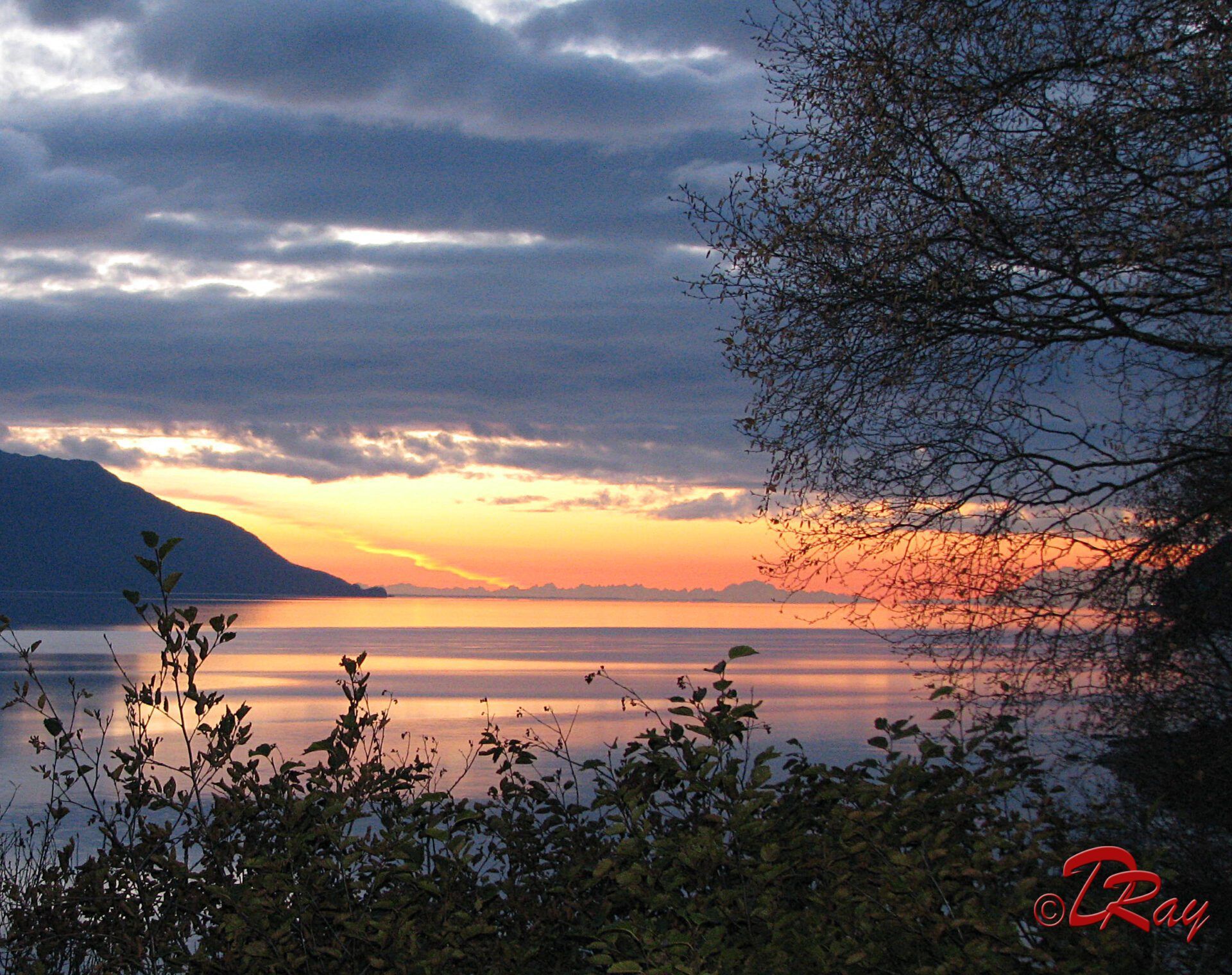 Sunset over a calm lake, with dark silhouettes of trees in the foreground and mountains in the distance.