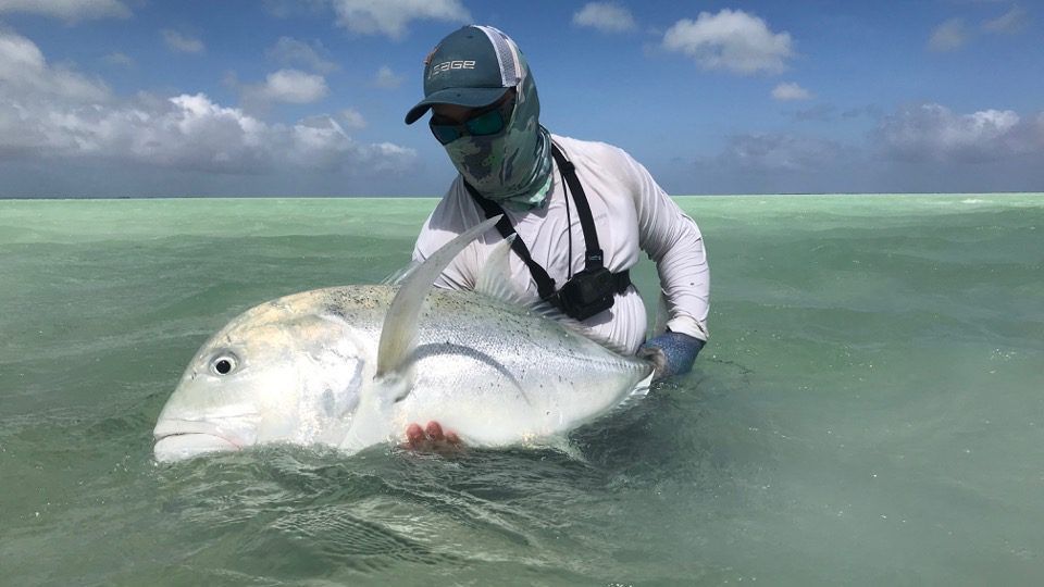 A person wearing protective gear holds a large, silver giant trevally fish in shallow, clear turquoise water.