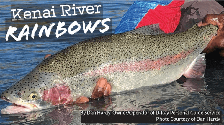 A large rainbow trout held in the water with a pink lateral stripe and spotted scales, overlaid with title text.