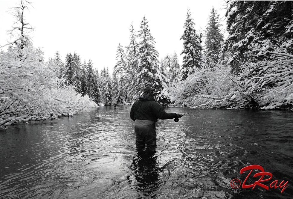 A person in waders fly-fishing in a snowy, tree-lined river.