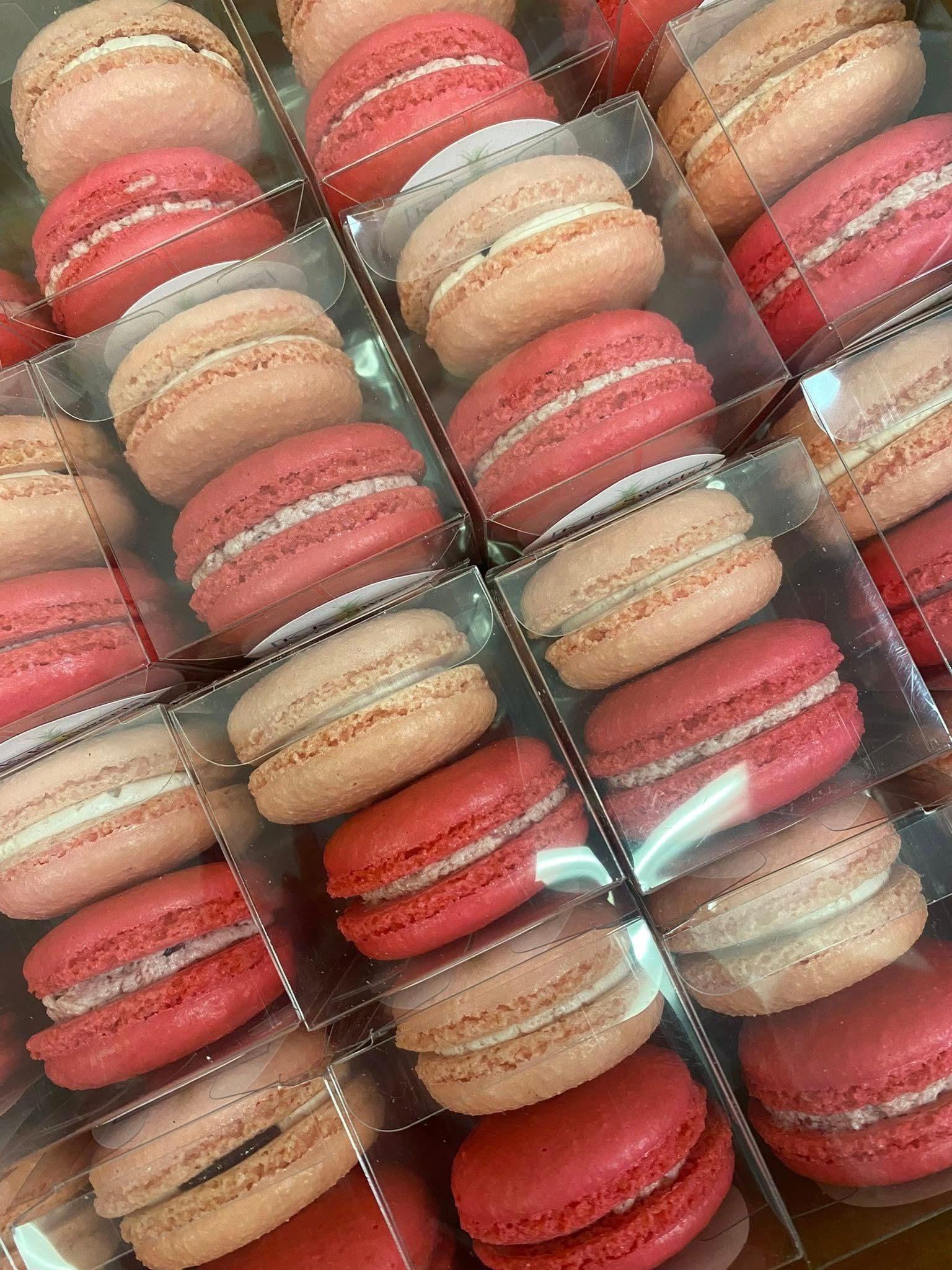 Rows of colorful macarons in individual clear boxes.