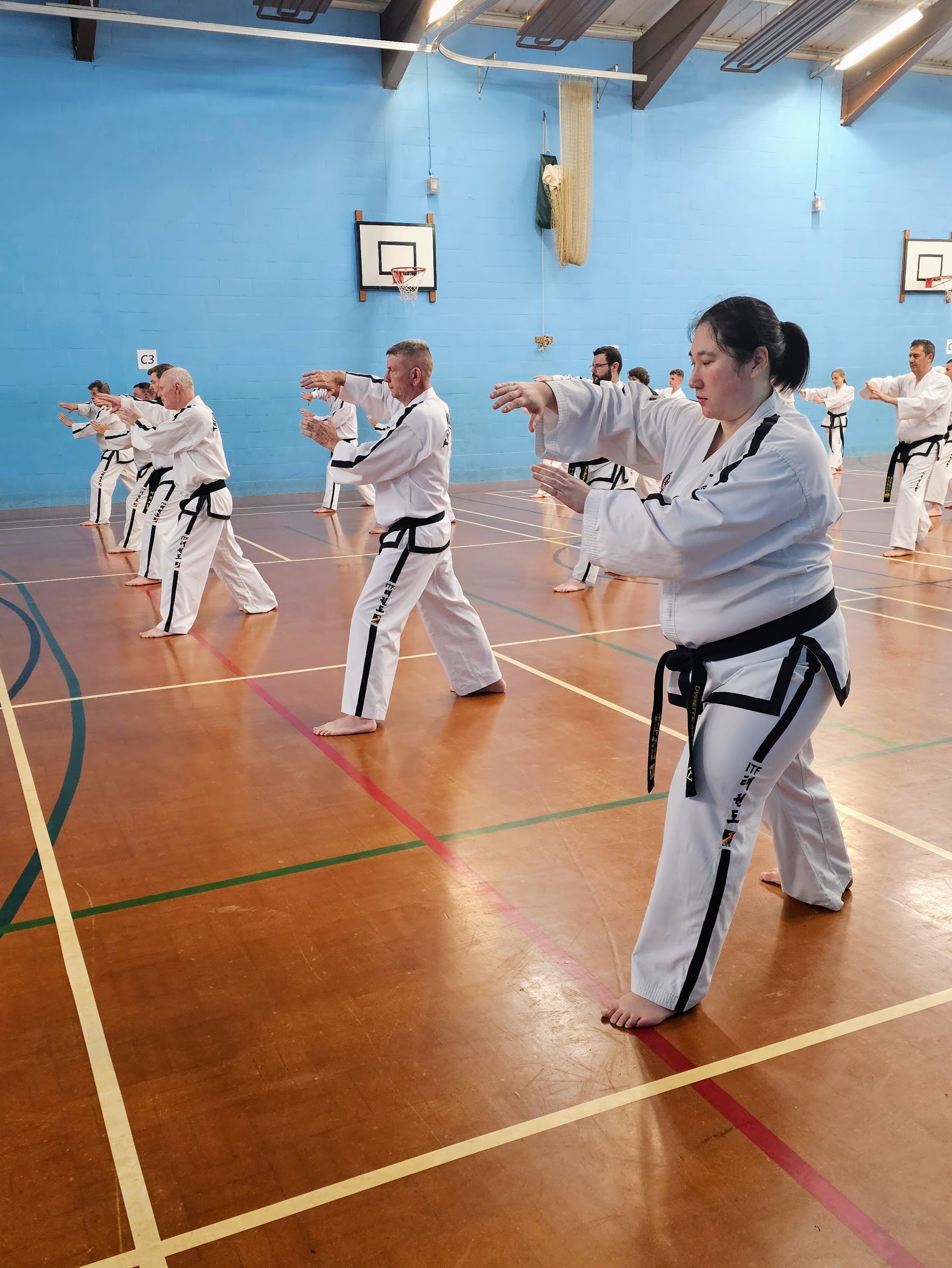 Nuneaton TKD Blackbelts at the BTF Blackbelt seminar and grading
