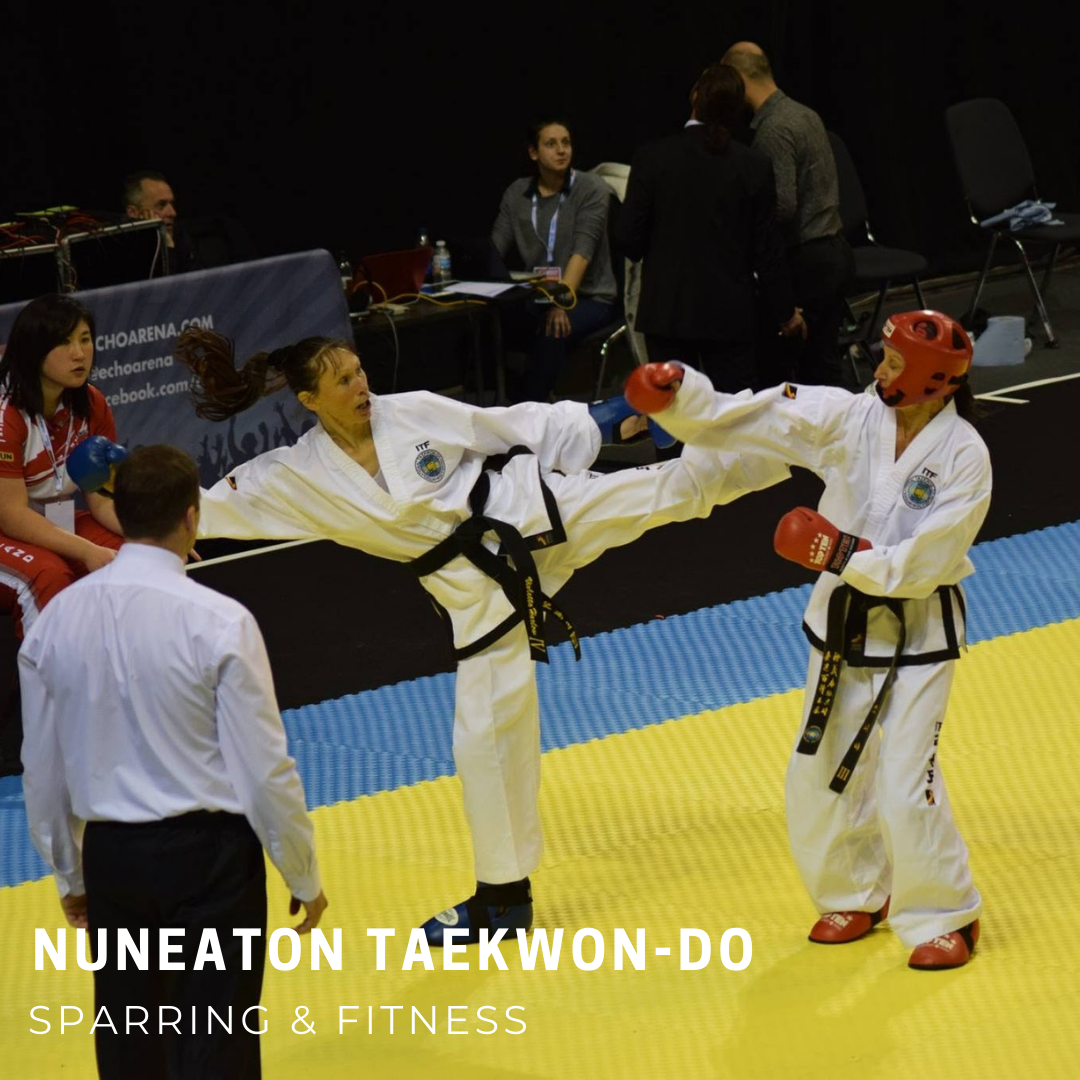 Sparring at European Championships
