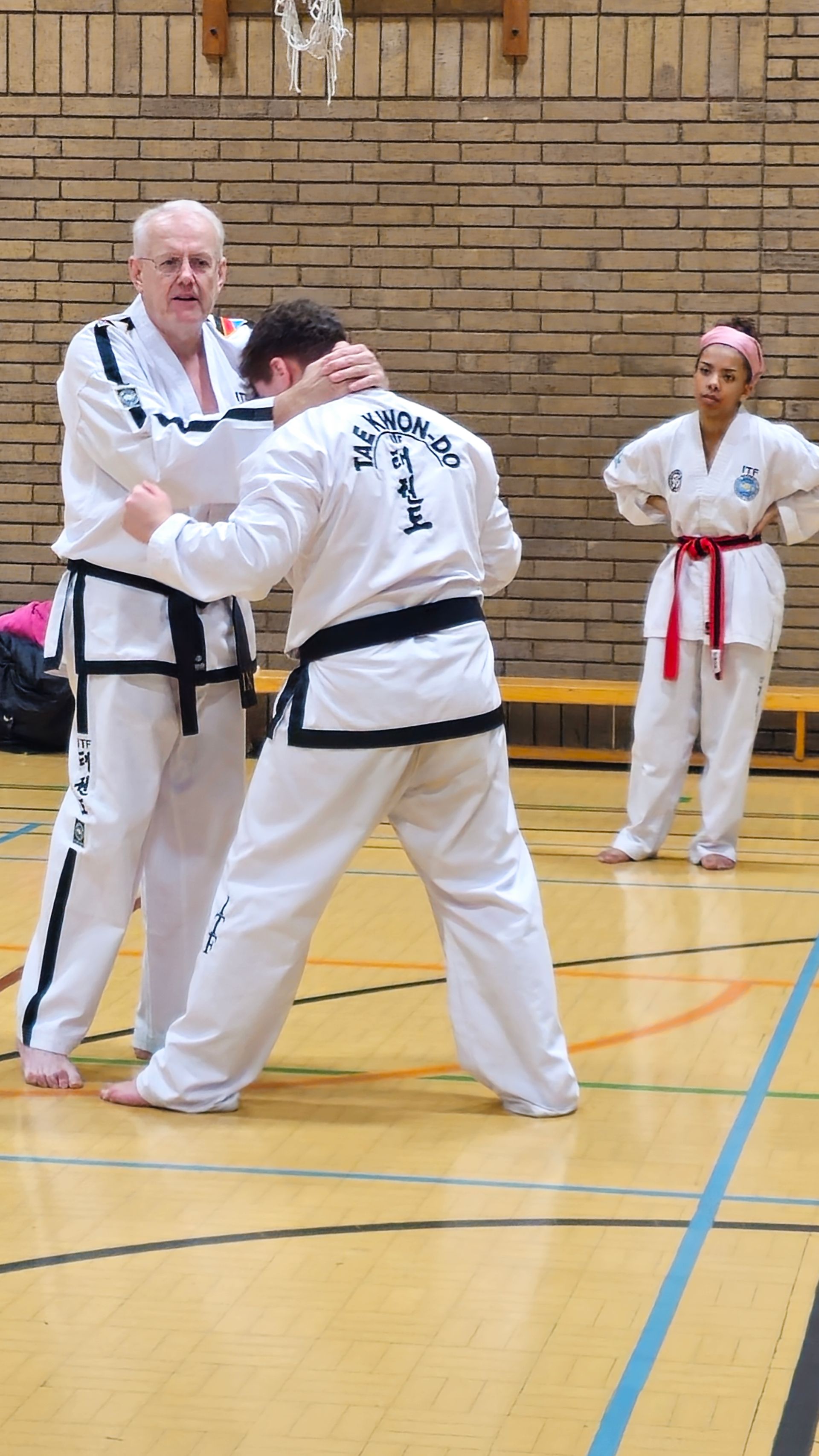 Nuneaton TKD at the BTF National Training and Grading