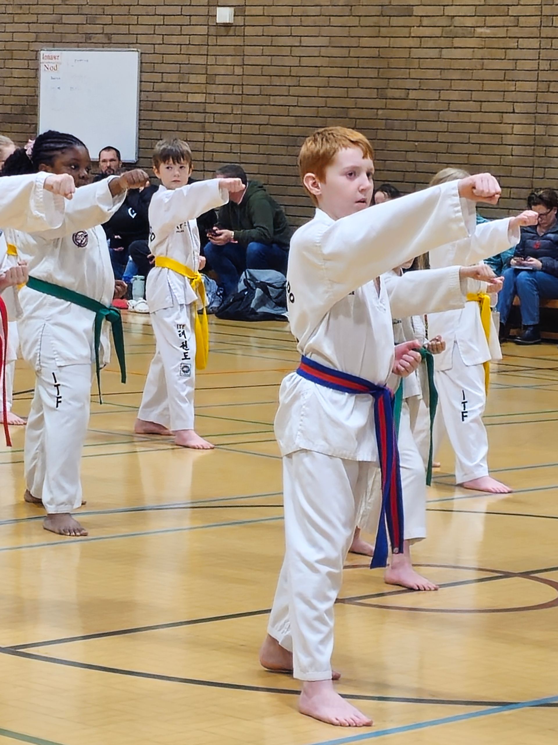 Nuneaton TKD at the BTF National Training and Grading