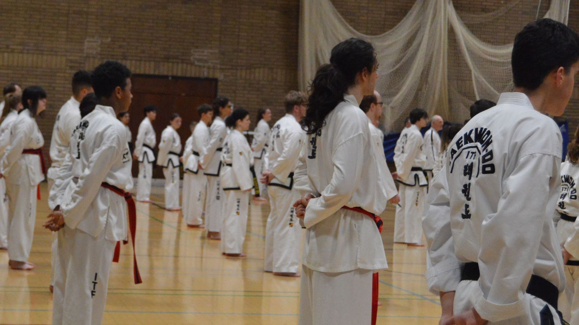 BTF students lined up at the Blackbelt seminar