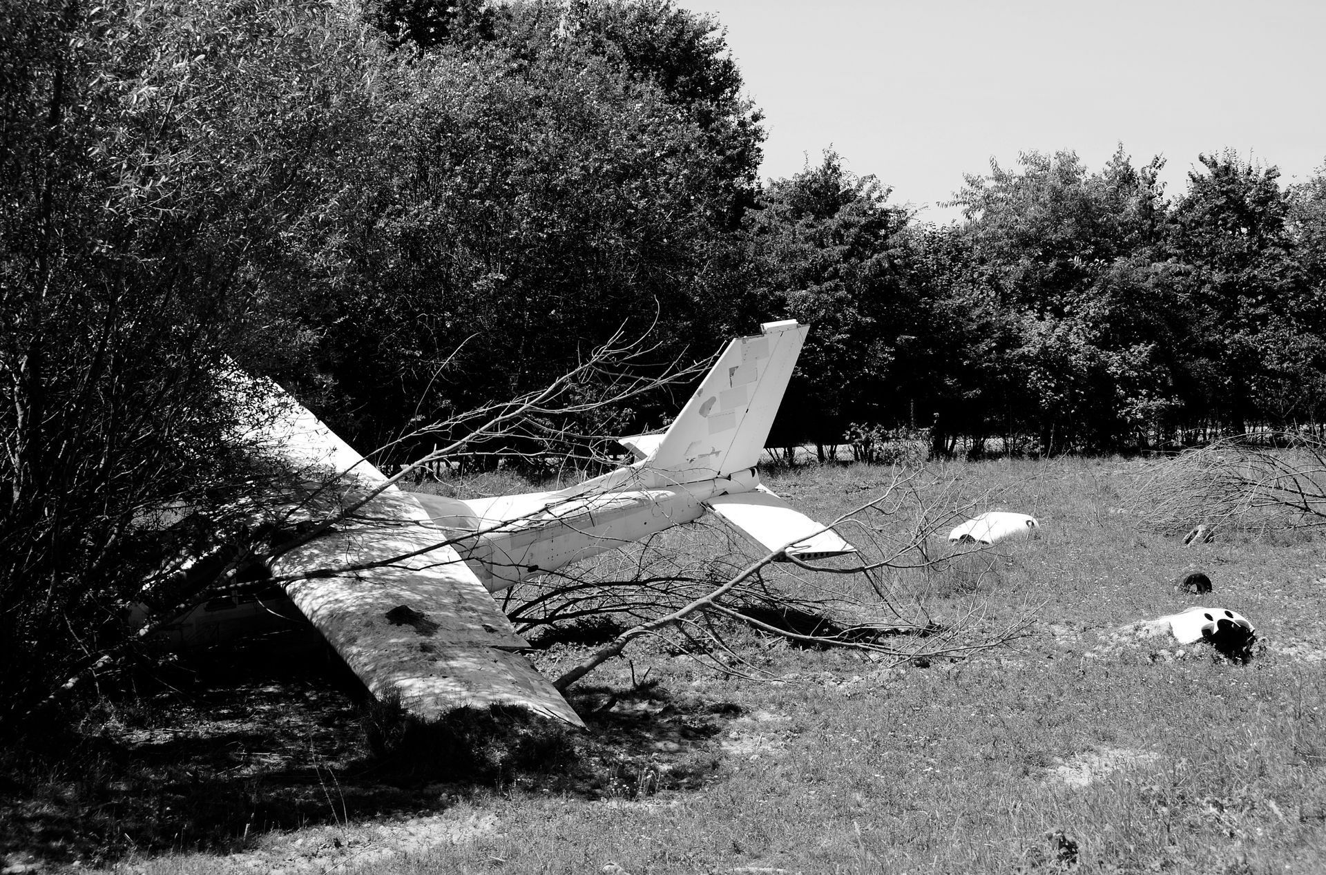 Small plane wreckage in a grassy field beside trees, with scattered debris.