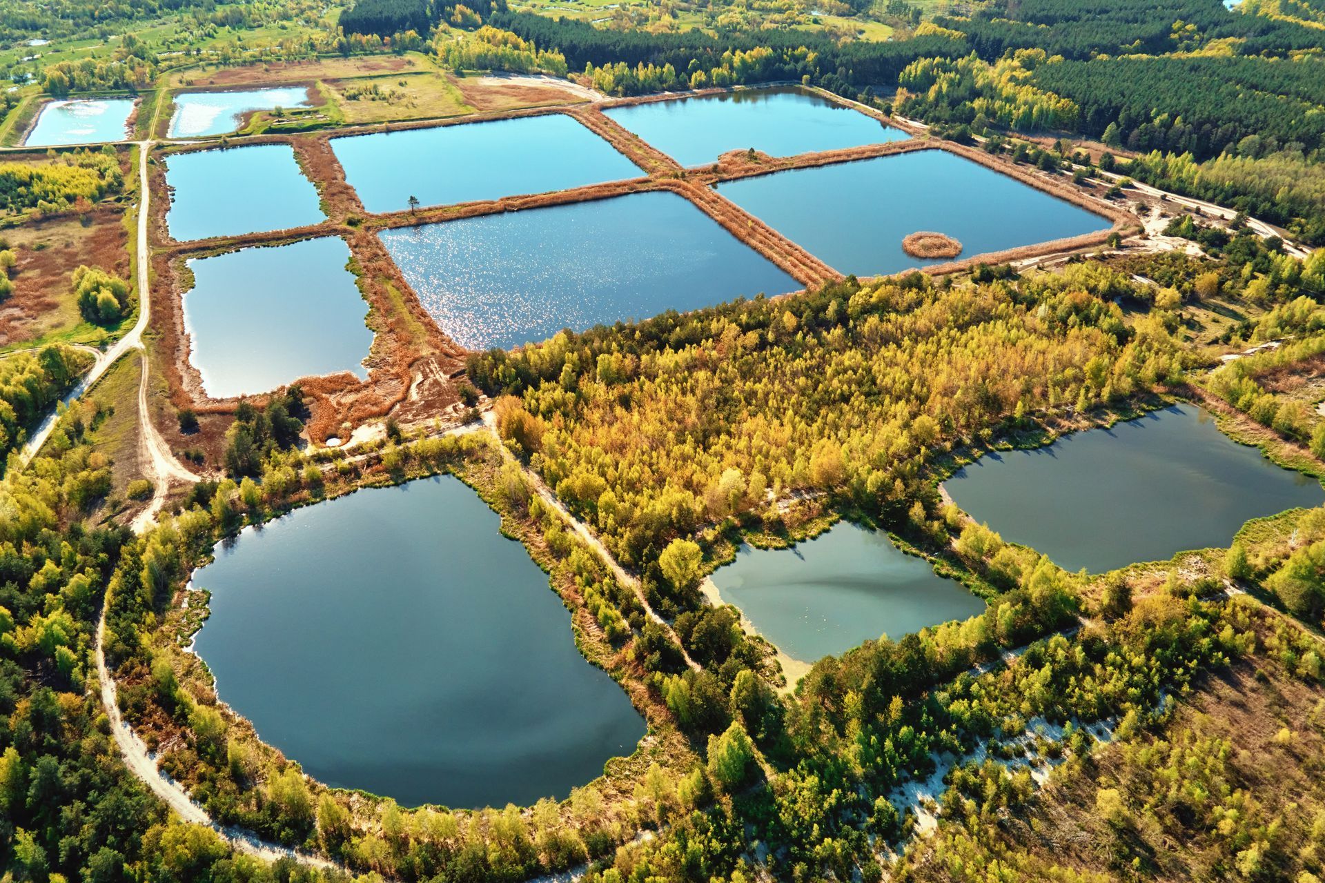 Aerial view of rectangular aquaculture ponds and surrounding trees in a wetland landscape