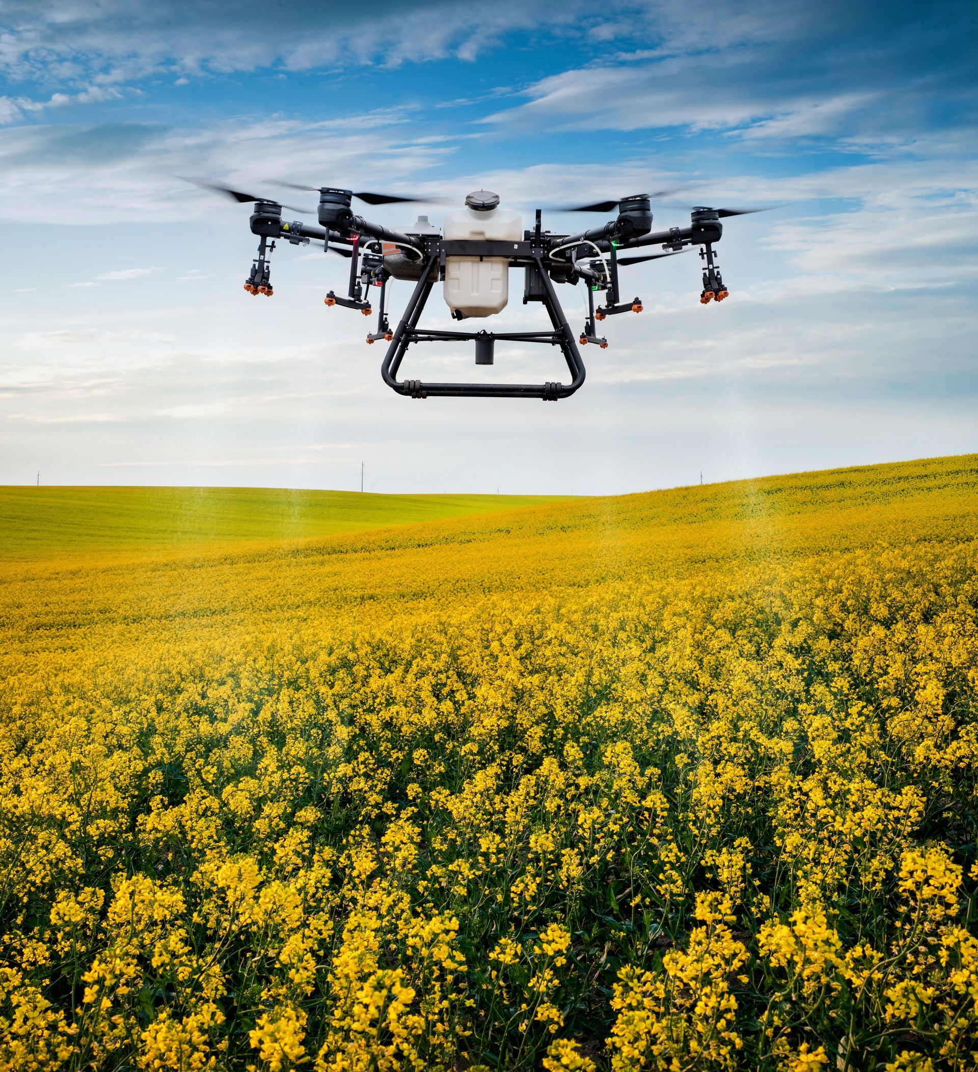 Drone flying over a yellow flowering field under a blue sky