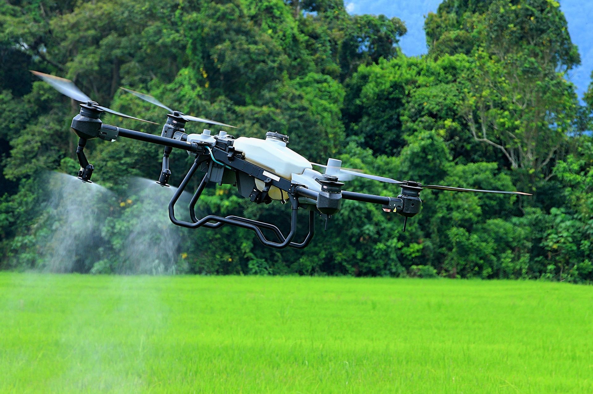 Drone spraying pesticide over a lush green rice field with a forested background