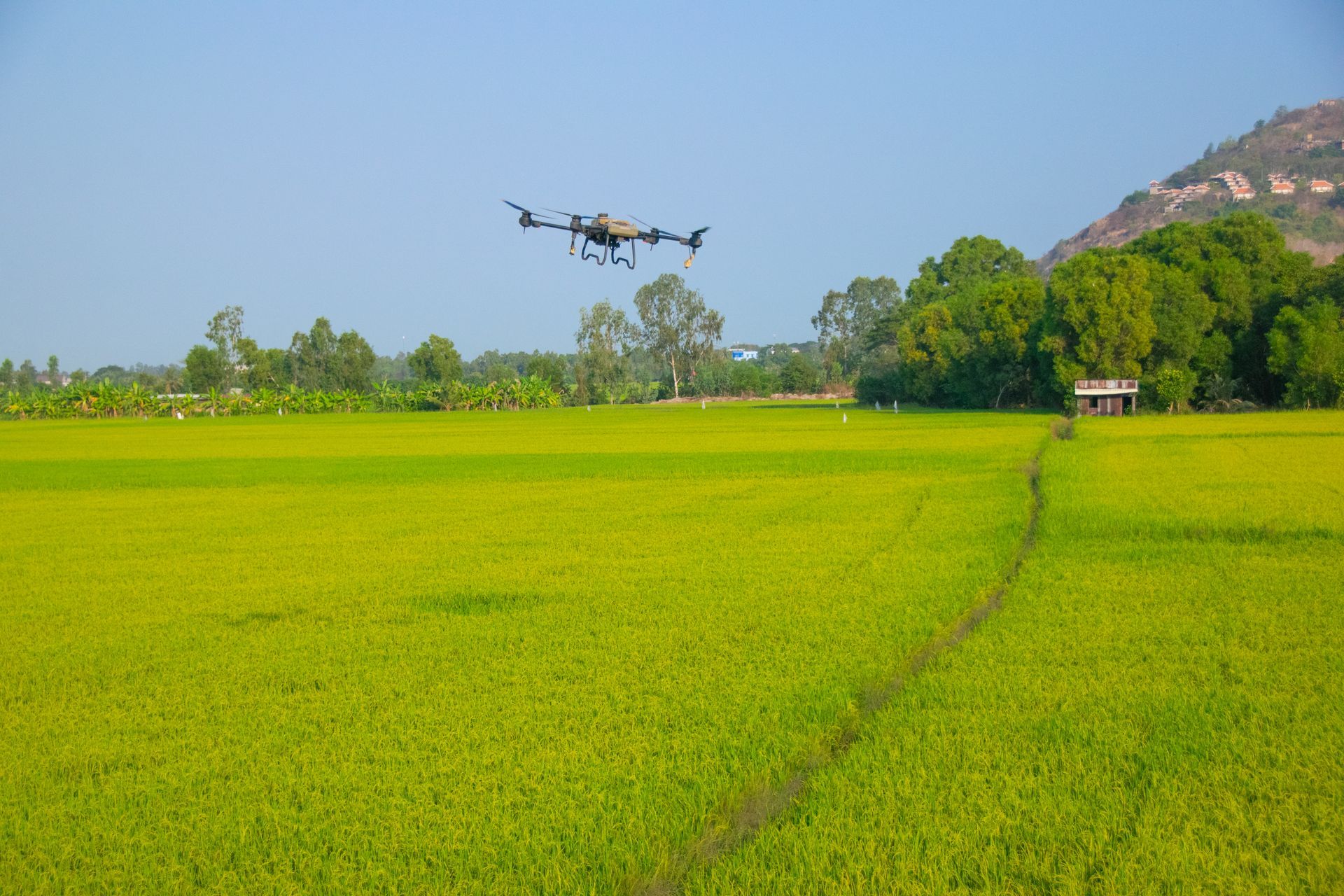 Drone flying over a bright green field with trees and hills in the background