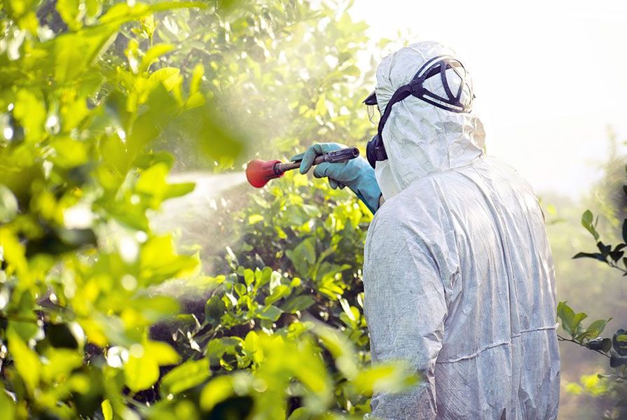 FUMIPLUS - control de plagas en Puebla