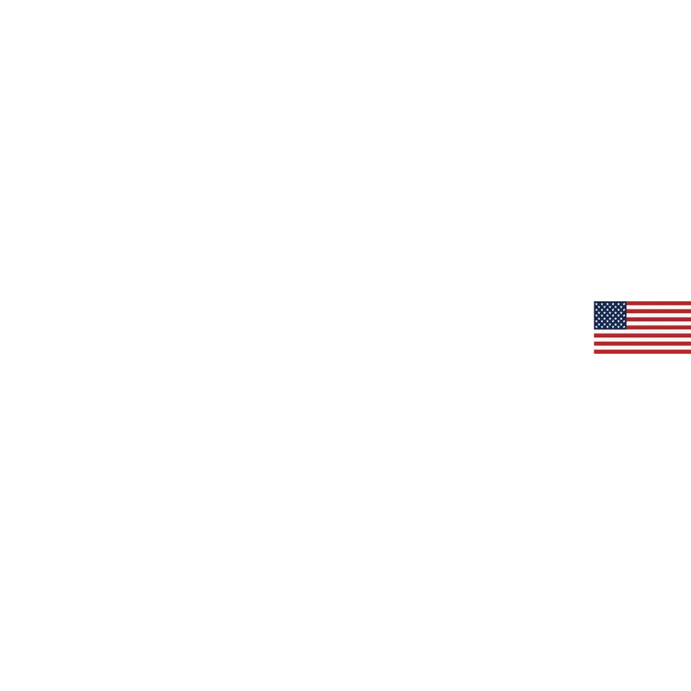 Small U.S. flag on a plain white background