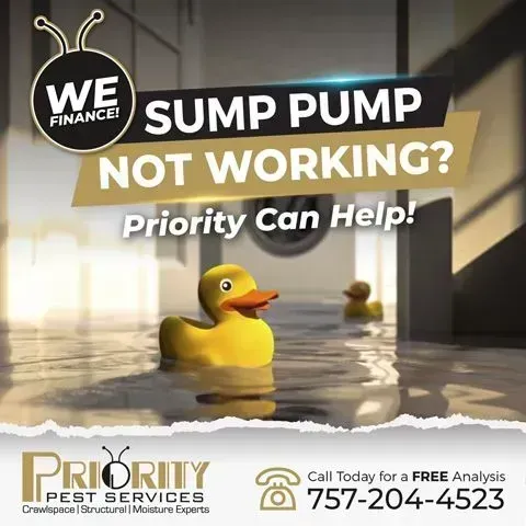 Flooded basement ad: rubber duck in water, text “Sump pump not working? Priority can help!”