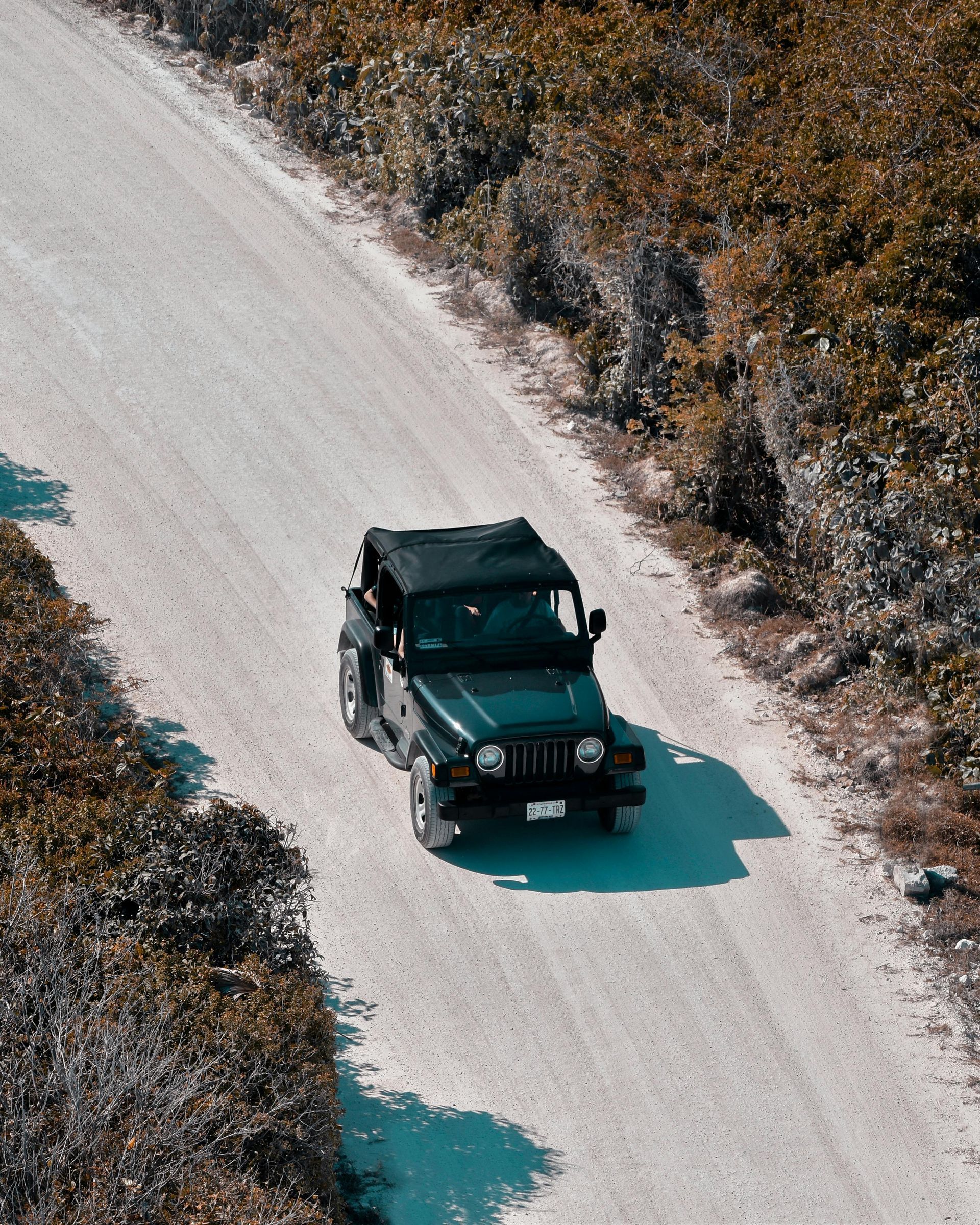 Kumeu Car Services classic Mini Cooper repair
