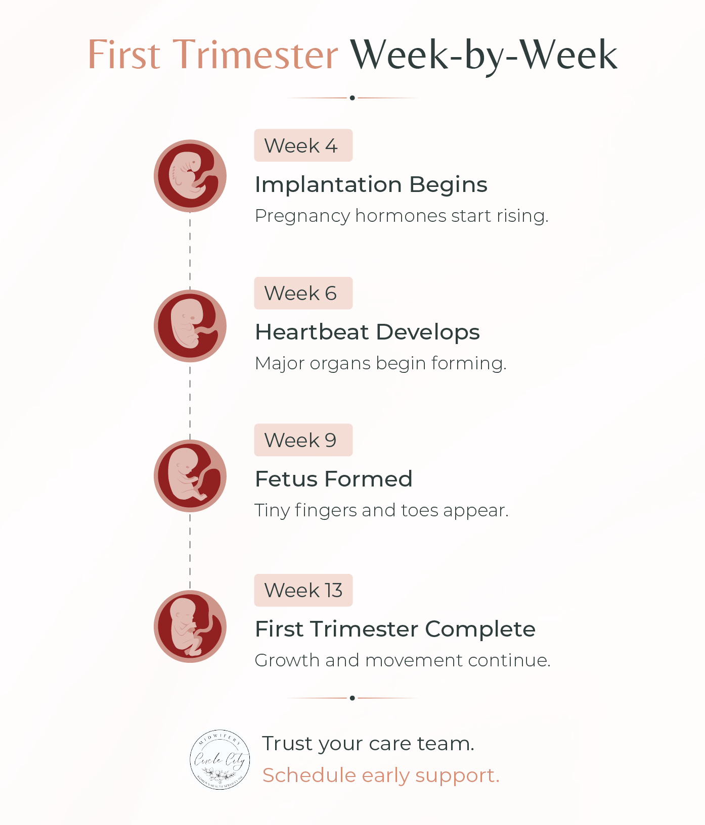 A vertical first-trimester pregnancy timeline highlighting key baby development milestones at weeks 4, 6, 9, and 13, with brief developmental updates.