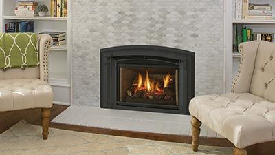 Regency® Liberty® LRI4E Gas Insert