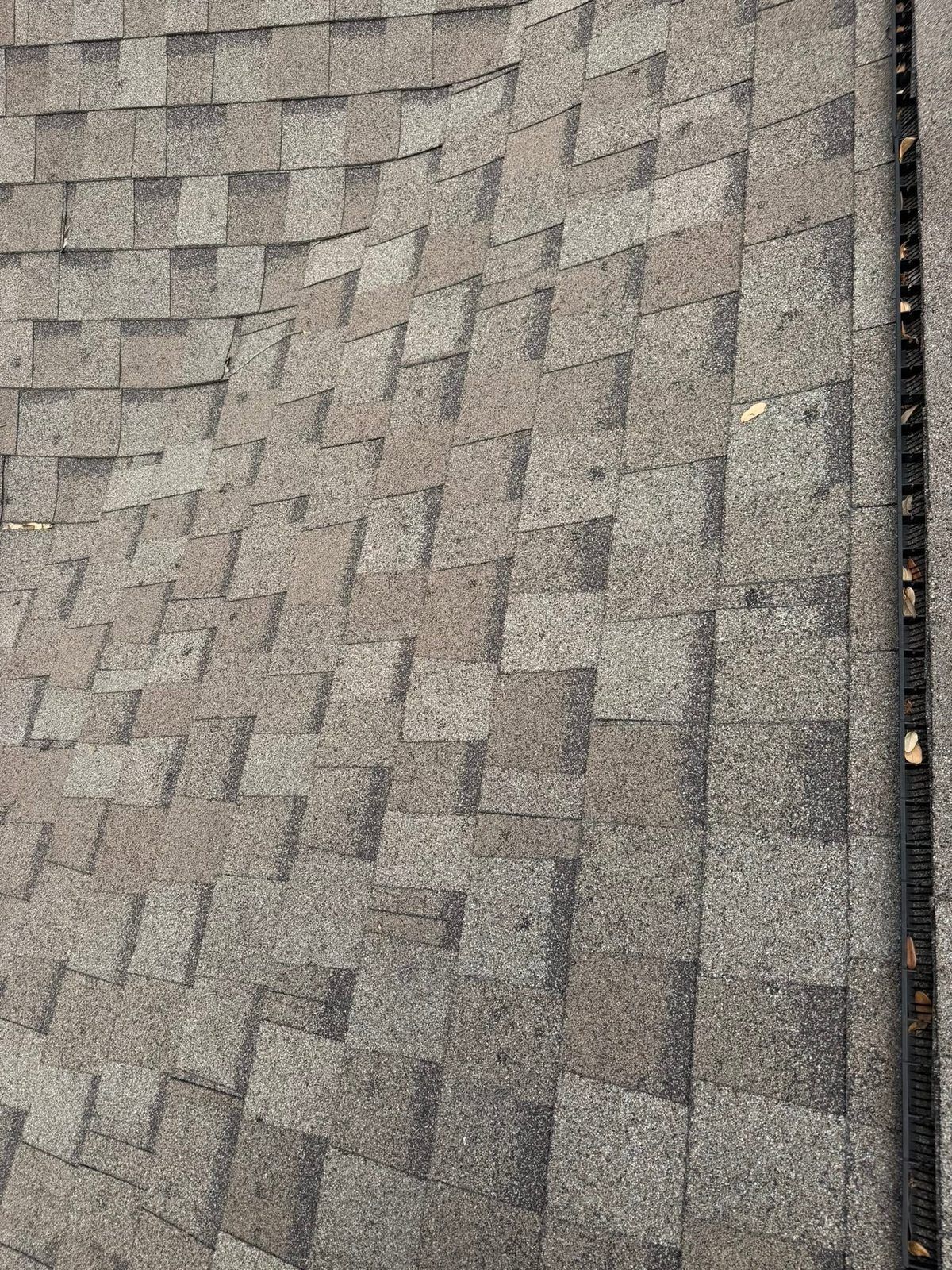 Gray asphalt shingles on a roof with a gutter along the right edge.