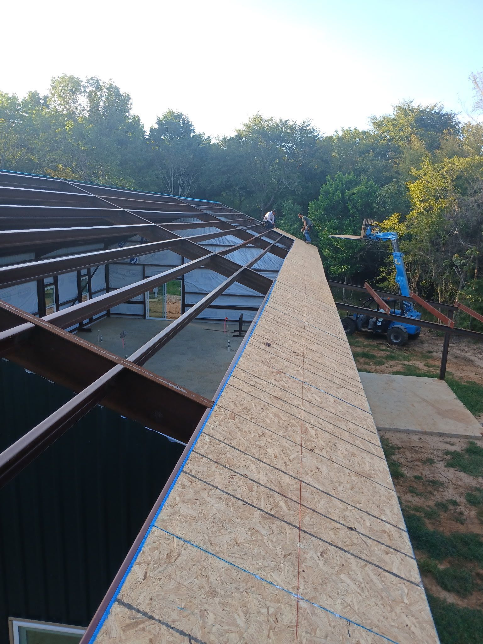 Roof under construction with exposed beams, plywood sheathing, and workers near trees in the background