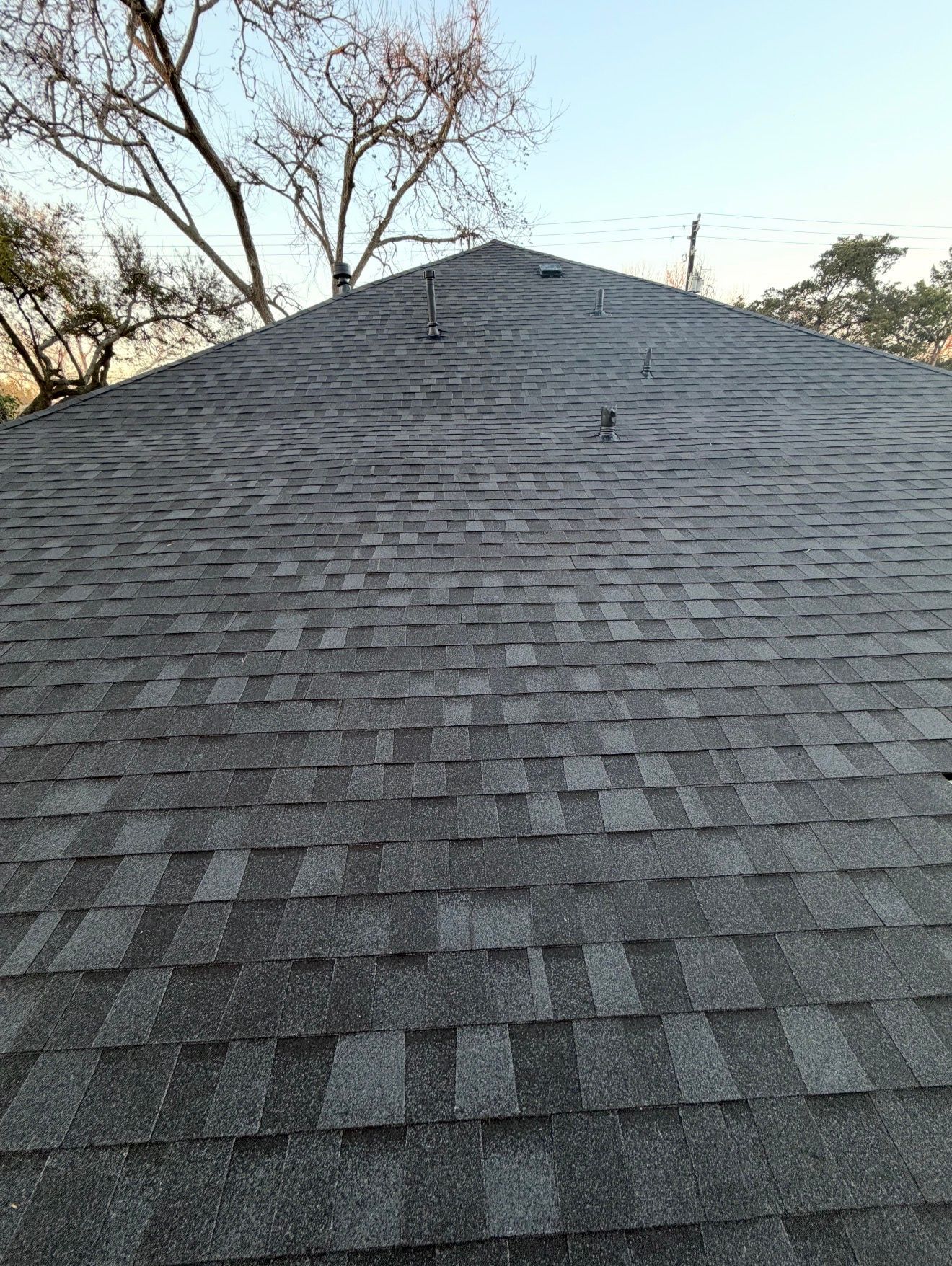 Dark gray shingled roof viewed from below with trees and sky at the edges