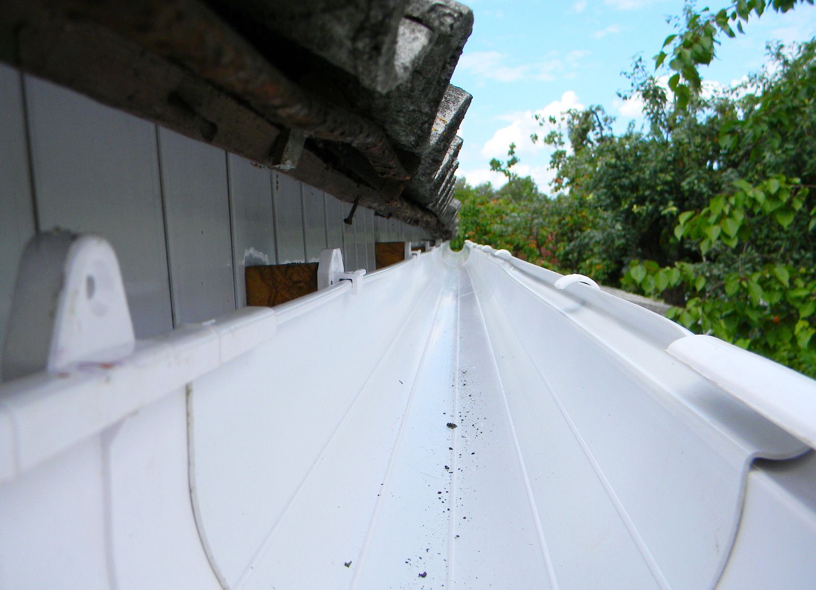 White roof edge with debris beside a building, viewed from a low angle beside trees.