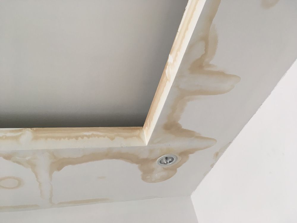 Water stains on a white ceiling with a recessed square design — Richmond Roof Tiling in Lismore, NSW