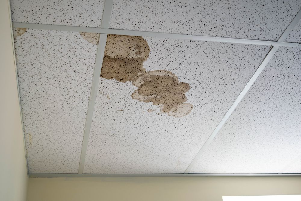 Water-stained, discolored ceiling tiles in a grid, possibly due to a leak — Richmond Roof Tiling in Ballina, NSW