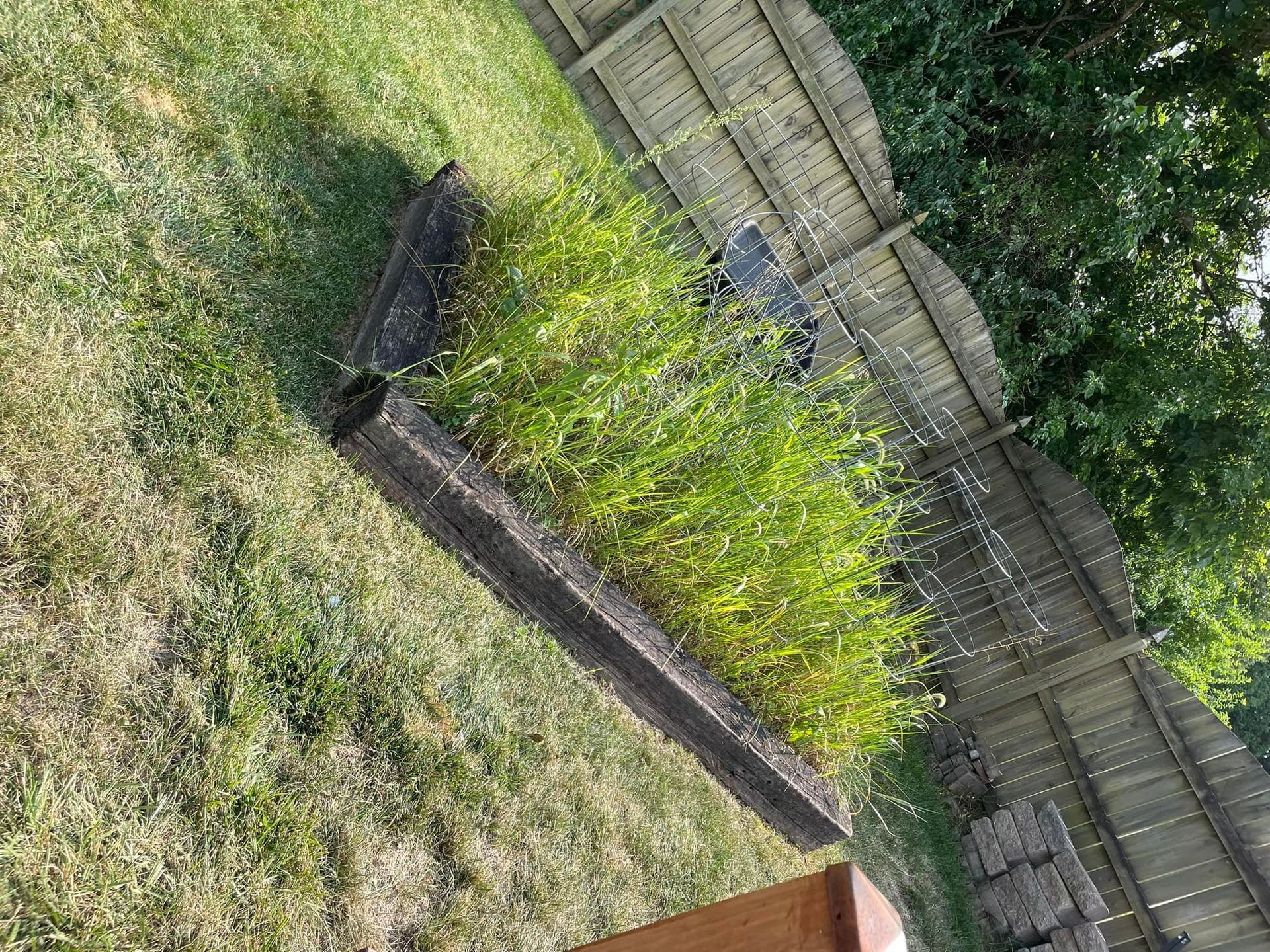 A wooden planter filled with green plants in a yard next to a wooden fence.