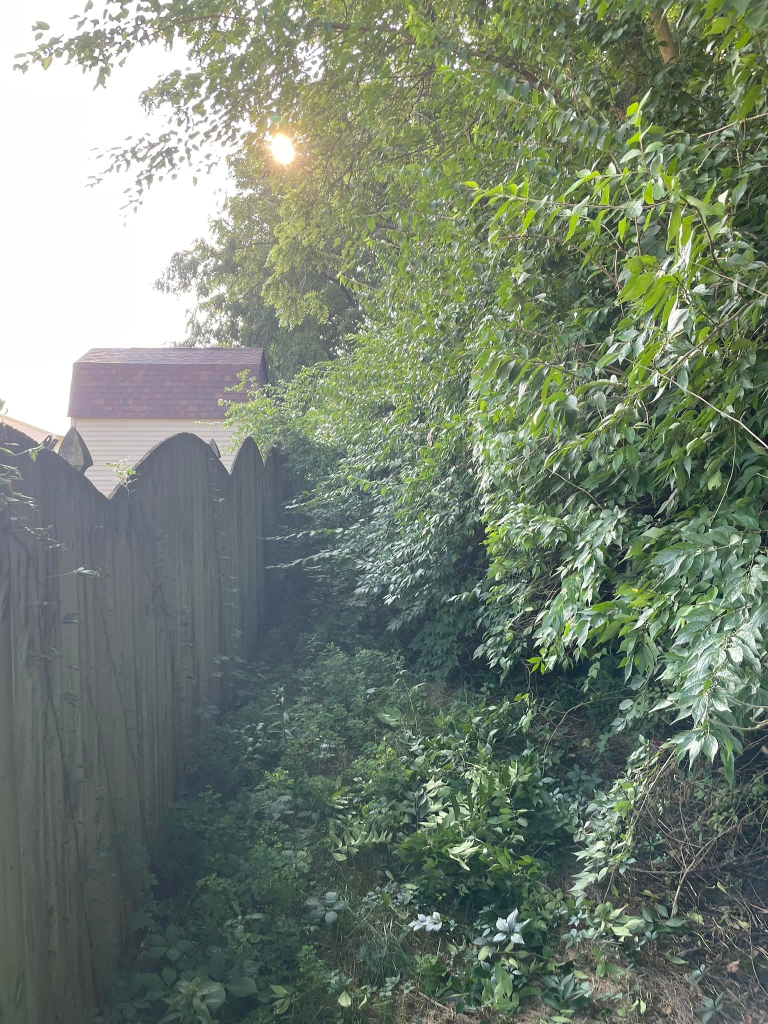 A wooden fence surrounded by trees and bushes with the sun shining through the trees.