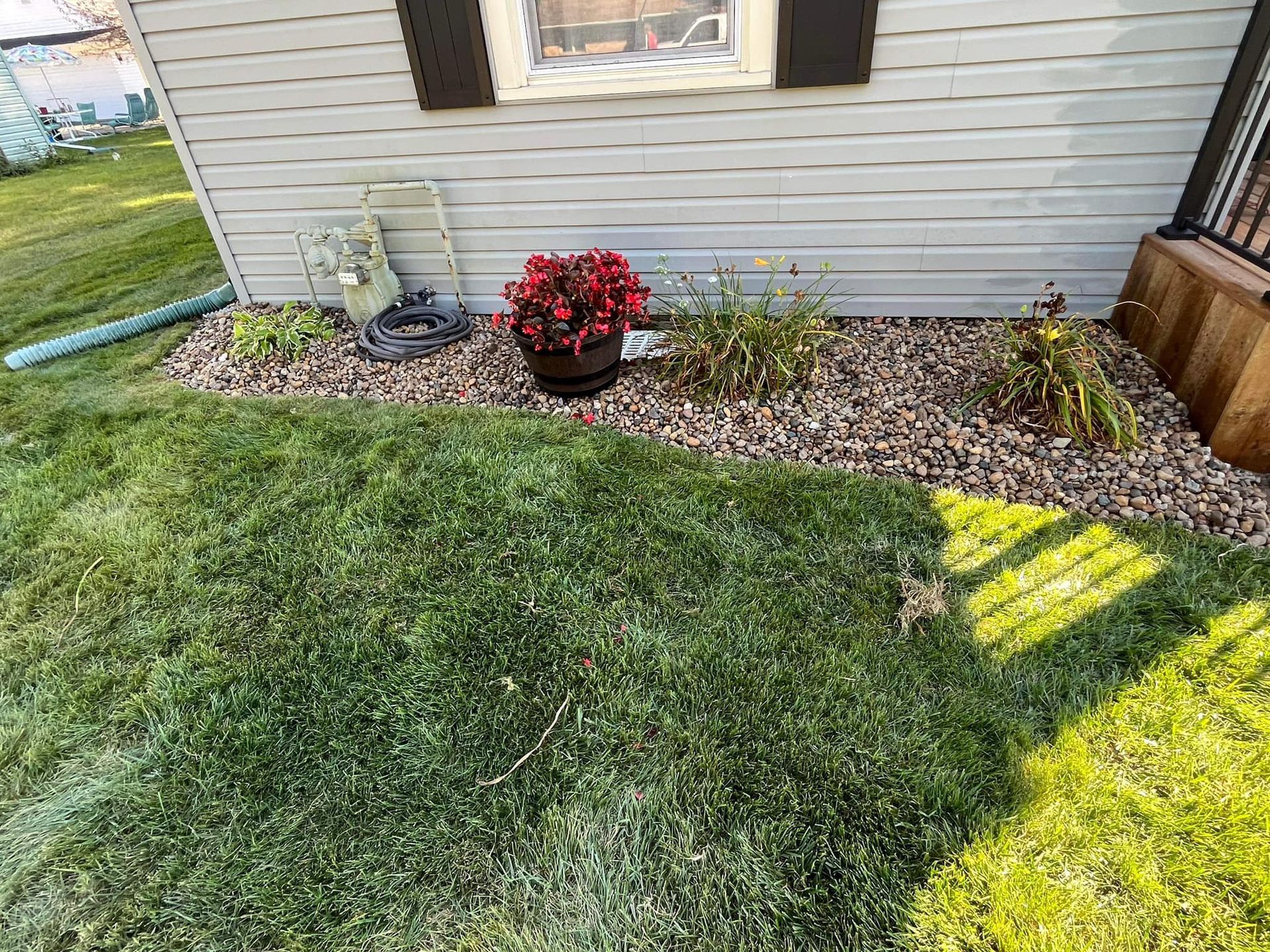 A potted plant is sitting in the grass next to a house.