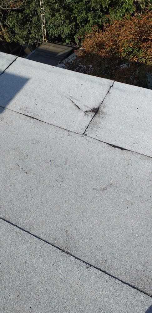 A close up of a roof with trees in the background.