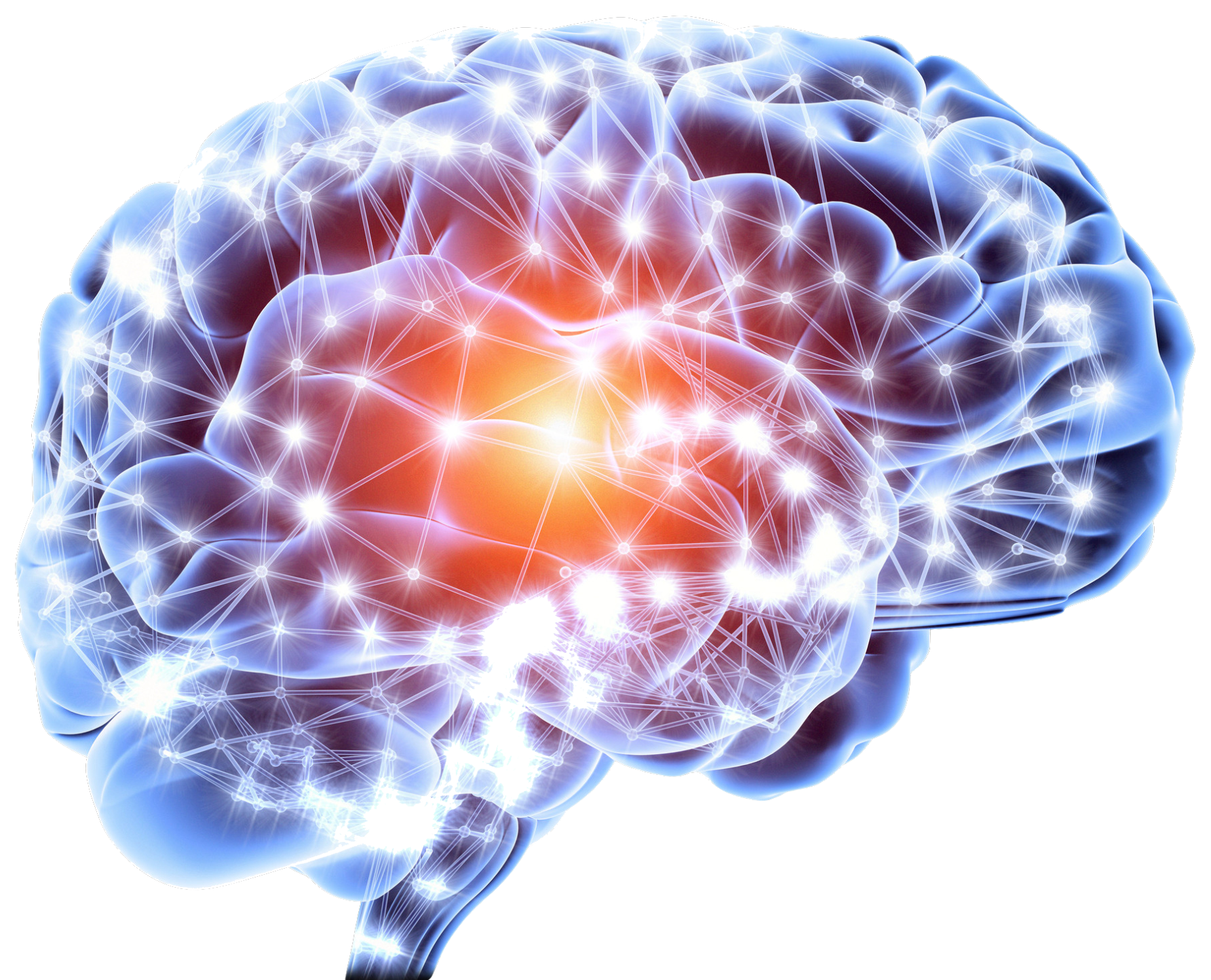 A computer generated image of a brain with a red spot in the middle