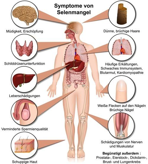 Gesund plus Fit hilft bei Selen Mangel
