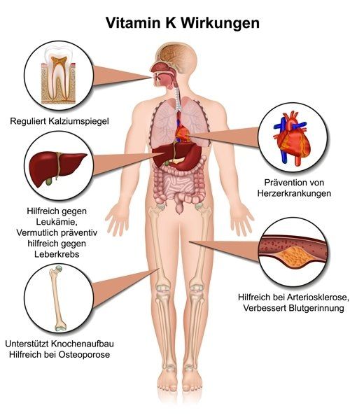 Gesund plus Fit hilft bei Vitamin K Mangel