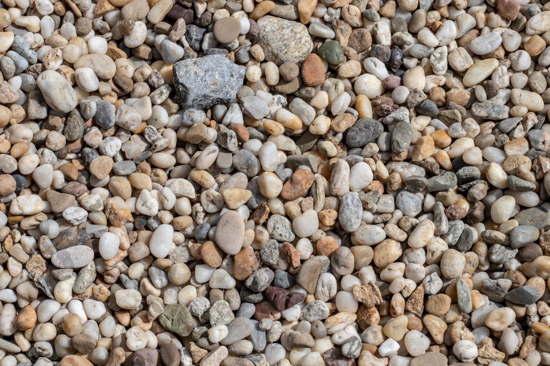 Close-up of a bed of small, rounded pebbles in gray, tan, and white tones