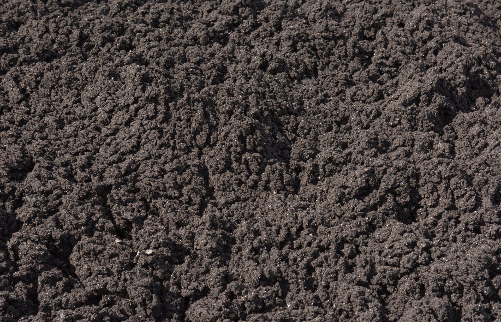 Close-up of dark, crumbly soil or mulch filling the frame.