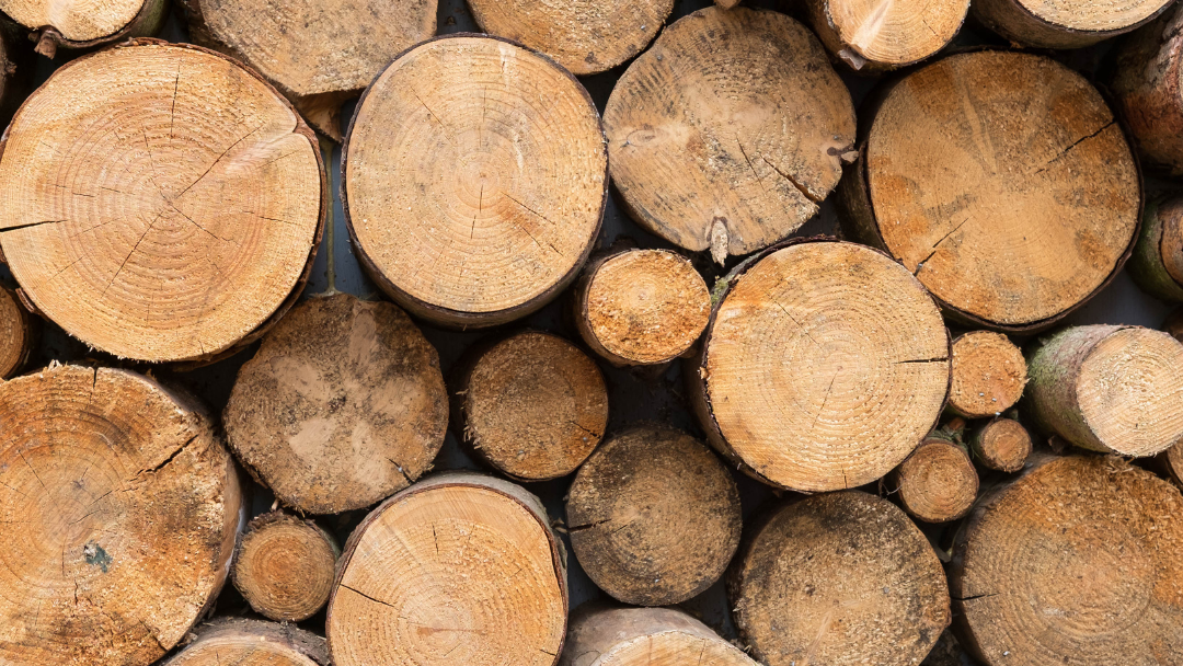 A pile of logs stacked on top of each other.
