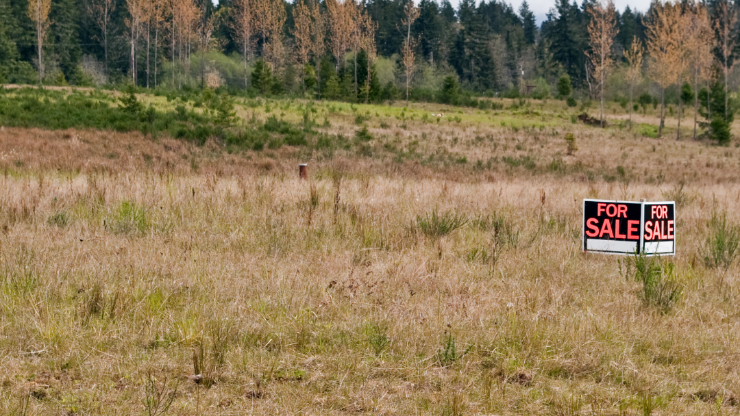 A for sale sign is in the middle of a field.