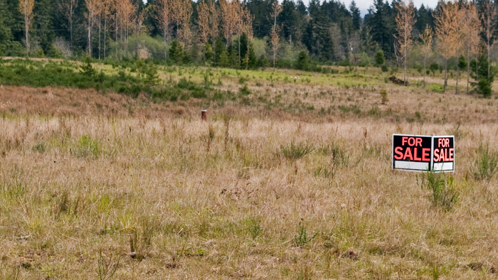 A for sale sign is in the middle of a field.