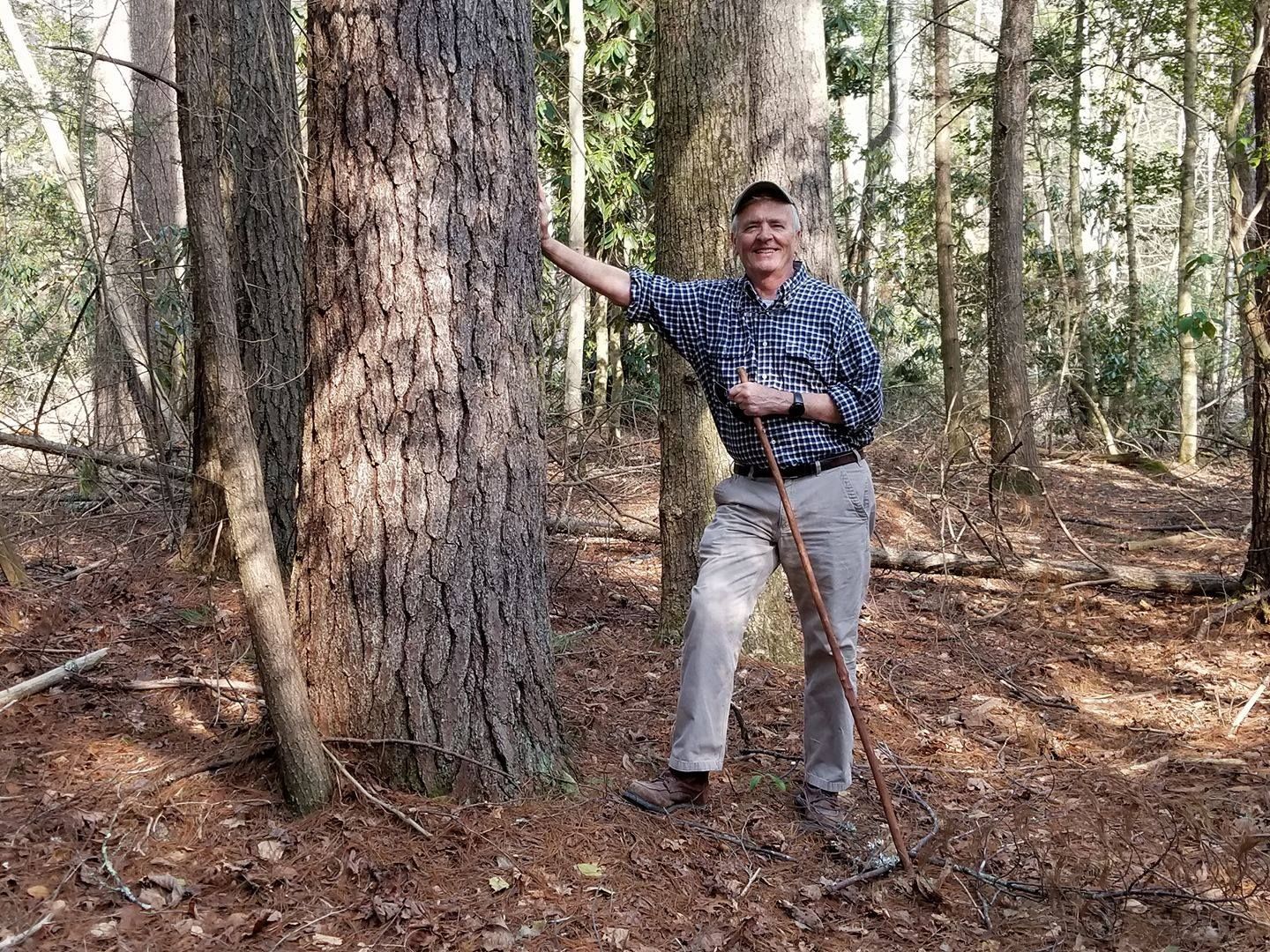 A man is standing next to a large tree in the woods.