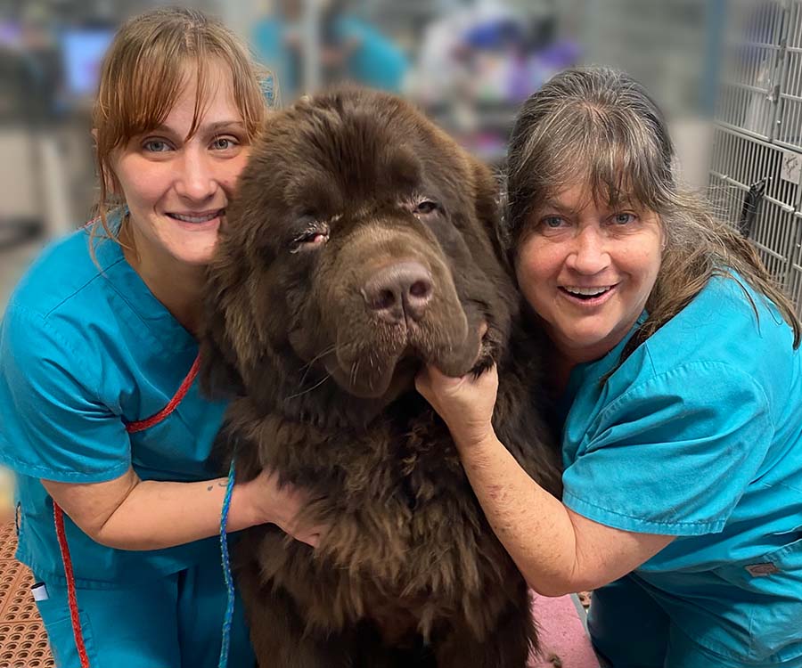 Services Muddy Paws Pet Grooming and Boarding in Tulsa